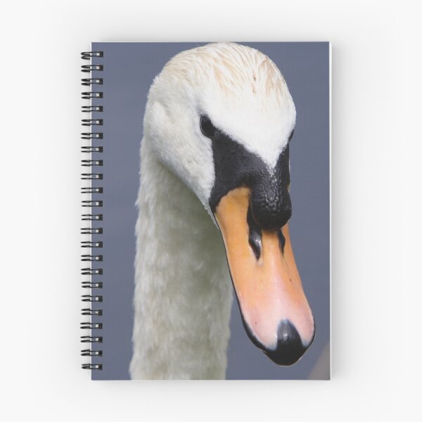 Item preview, Profile of a Mute Swan. designed and sold by DigitallyStill.