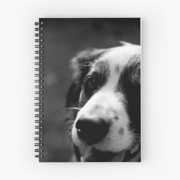 Item preview, Border Collie designed and sold by Tamara  Kenneally.