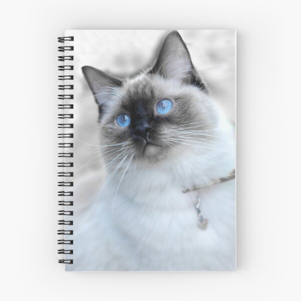 Item preview, Ragdoll designed and sold by Extraordinary Light.