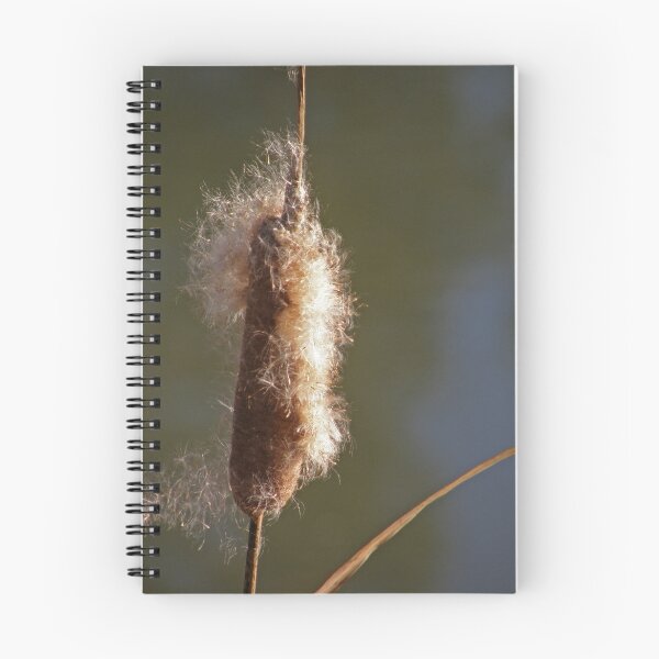Item preview, Frazzled designed and sold by Patty Lewis.