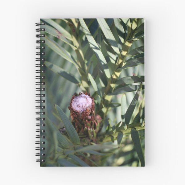 Artikelvorschau, My Pine entworfen und verkauft von Australis.