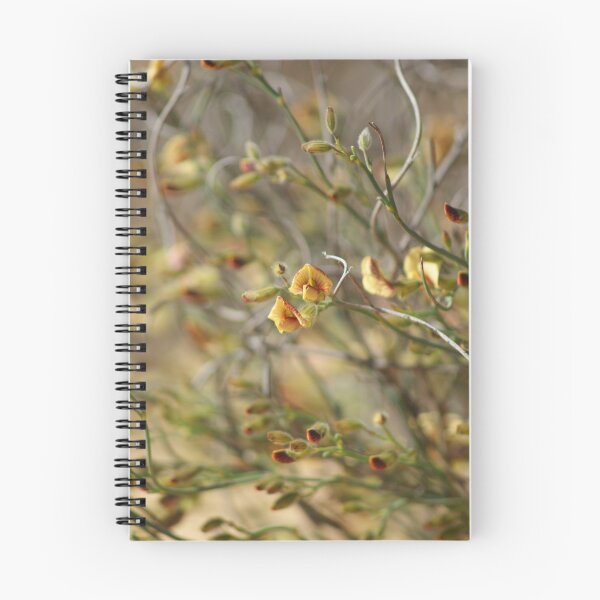 Item preview, Dainty wildflower,Coolgardie West Australia designed and sold by robynart.