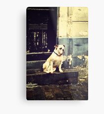 No Entry Metal Print