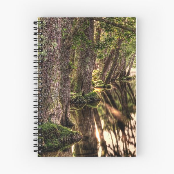 Item preview, Sunlight and Shadows designed and sold by Karl Williams.