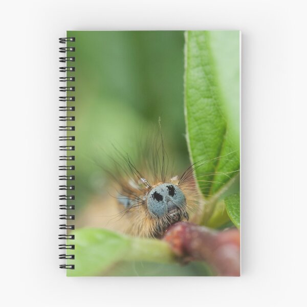 Item preview, Lackey Moth Caterpillar designed and sold by kernuak.