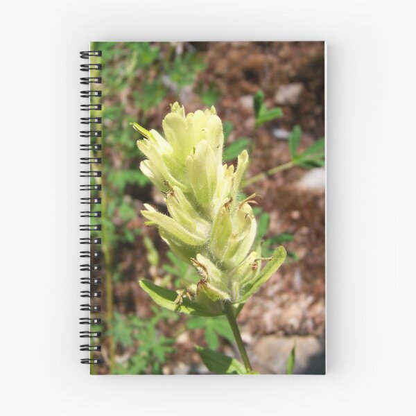 Item preview, Coastal Paintbrush designed and sold by Dandelion Dilluvio.