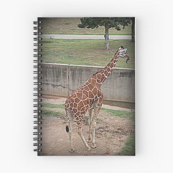 Item preview, Giraffe/Abilene Zoo designed and sold by jujubean.