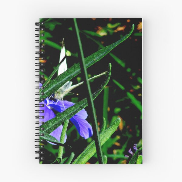 Item preview, Hiding. designed and sold by Paul Rees-Jones.