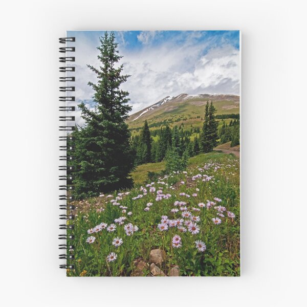 Artikelvorschau, Colorado Backcountry entworfen und verkauft von Gary Lengyel.