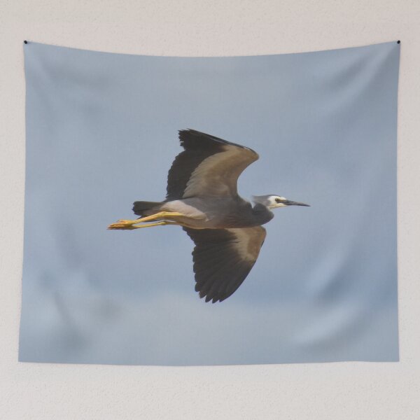 Item preview, Graceful noise machine- NZ Birds designed and sold by lizdomett.