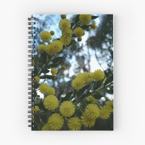 Item preview, Acacia Blossoms NLP -1 designed and sold by beeden.