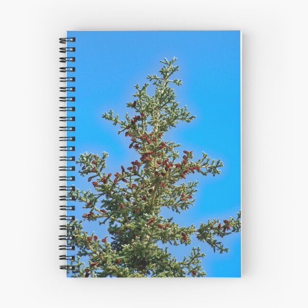 Item preview, Towering spruce designed and sold by Dandelion Dilluvio.