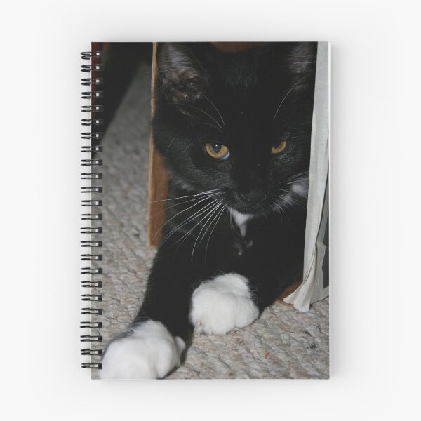 Artikelvorschau, This is My Box! entworfen und verkauft von Fern Design.