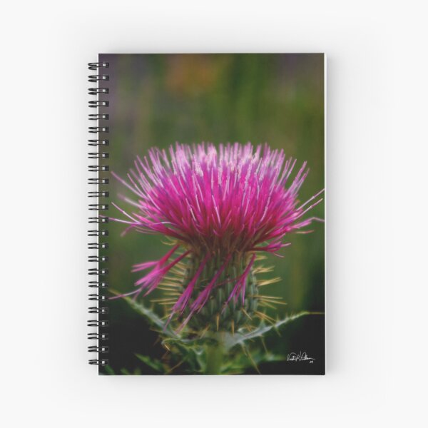 Item preview, Thistle Radiance  designed and sold by Vicki Pelham.