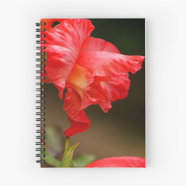 Item preview, gladiolus designed and sold by lurch.