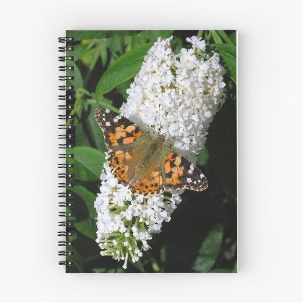 Item preview, Painted Lady butterfly (Vanessa cardui) on white butterfly bush (buddleia) (1) designed and sold by Philip Mitchell.