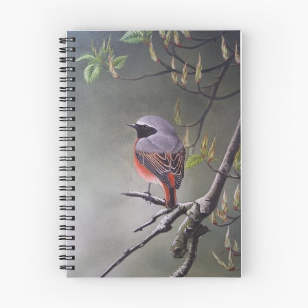 Item preview, Redstart designed and sold by Philip Holley.