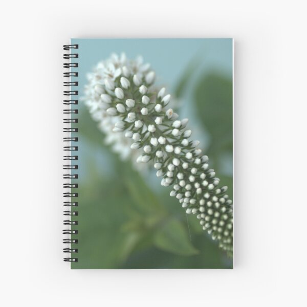 Cone flower Spiral Notebook