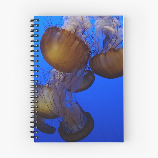 Aperçu de l'œuvre Orange JellyFish créée et vendue par Linda Scott.
