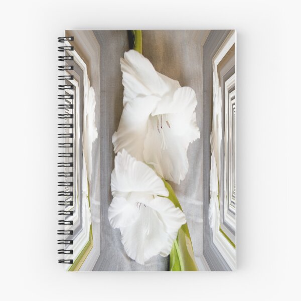 Item preview, All boxed in designed and sold by Steve plowman.