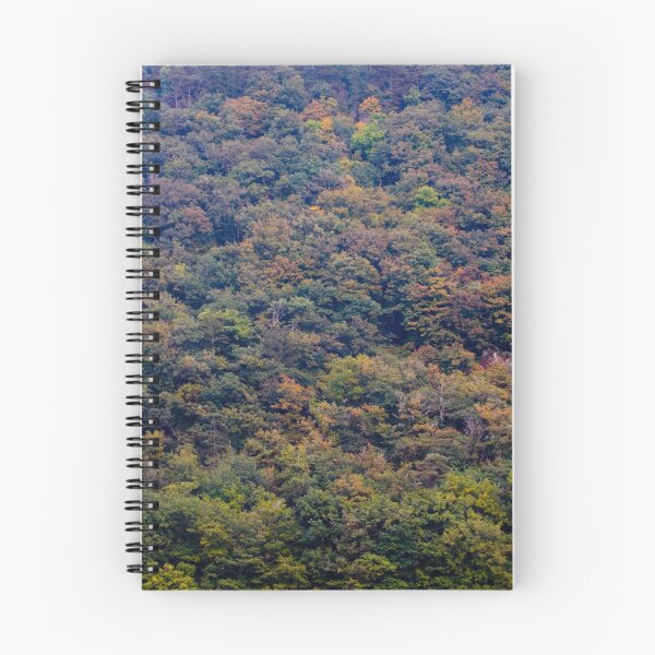 Item preview, French Forest designed and sold by Paudie Scanlon.