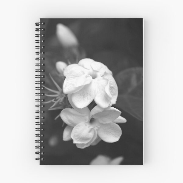 Artikelvorschau, Jasmin Flower entworfen und verkauft von Stormygirl.