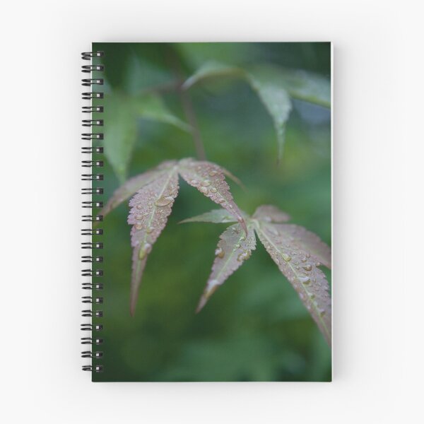 Artikelvorschau, Japanese Maple entworfen und verkauft von Daniel  Jenkins Jr.
