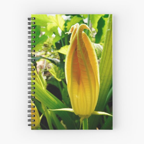 Item preview, unopened squash blossom designed and sold by tego53.