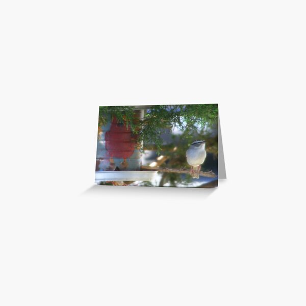 Li'l Bird Rests on Birdfeeder Greeting Card