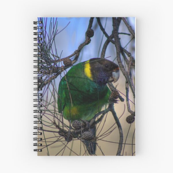 Item preview, Australian Ringneck Parrot designed and sold by GerryMac.