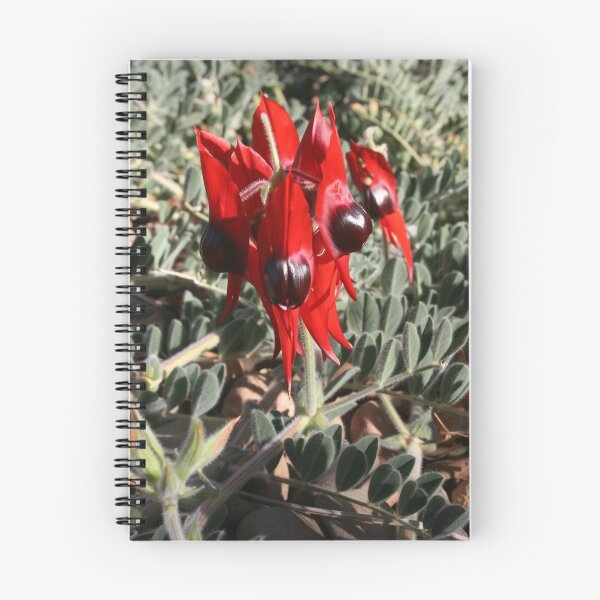 Item preview, Sturt's Desert Pea designed and sold by Nick Hunt.