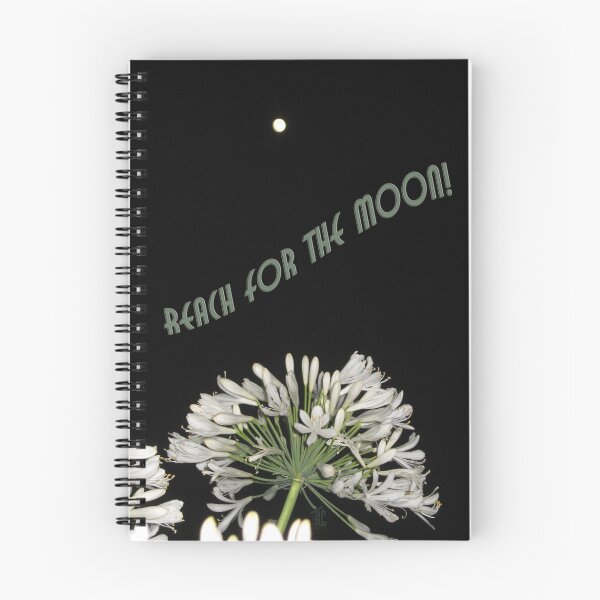 Artikelvorschau, Reach for the Moon entworfen und verkauft von TLCGraphics.