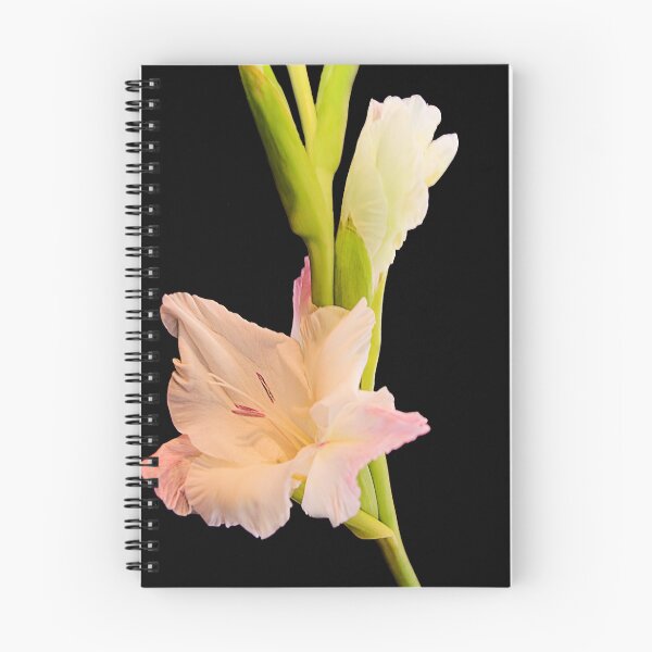 Item preview, Ballerina designed and sold by Steve plowman.