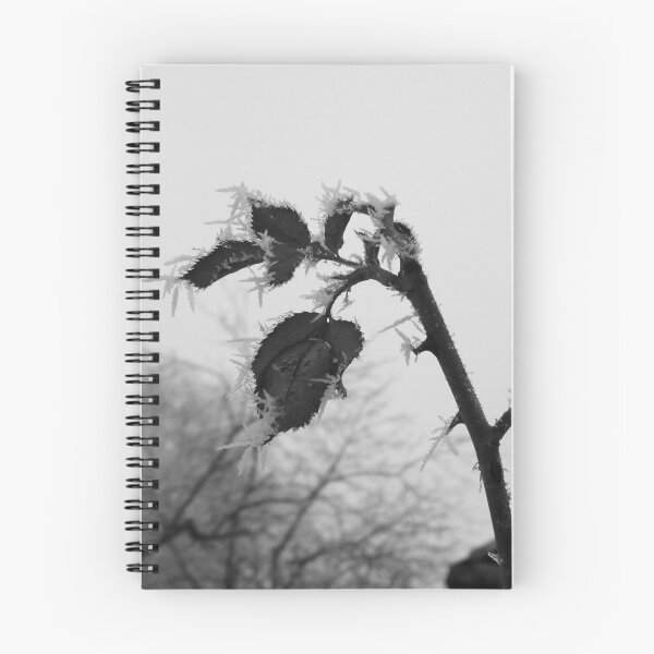 Artikelvorschau, A moment of winter entworfen und verkauft von ViktoryiaN.