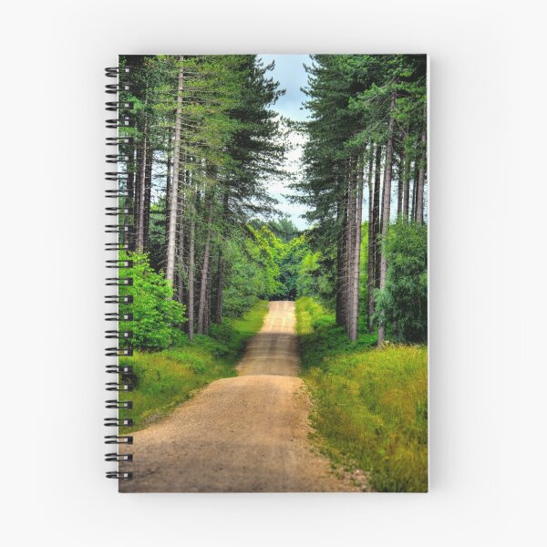Item preview, "Down The Dusty Road" designed and sold by Bradley Shawn  Rabon.