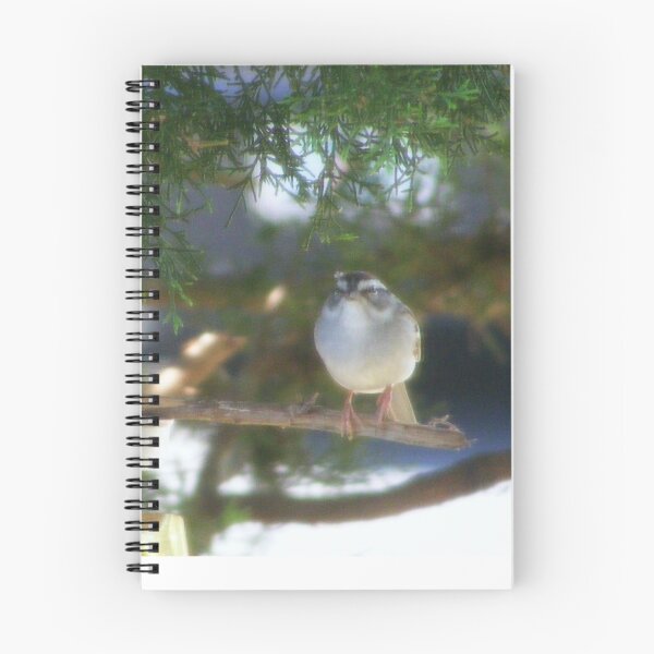 Item preview, Li'l Bird on Birdfeeder designed and sold by kristalcurt.