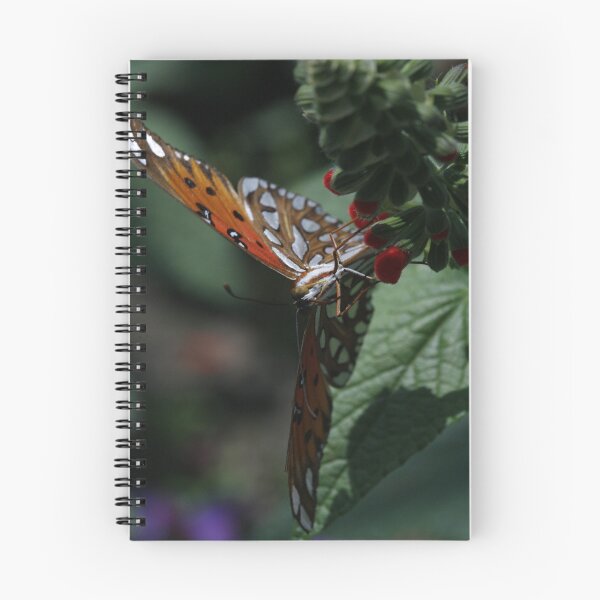 Artikelvorschau, Sideways Fritillary entworfen und verkauft von Adam Bykowski.