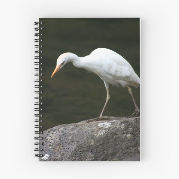 Aperçu de l'œuvre Crane 2 créée et vendue par Rick Champlin.
