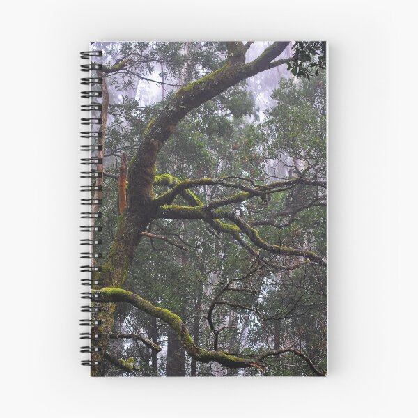 Item preview, Macedon lichen designed and sold by salsbells69.