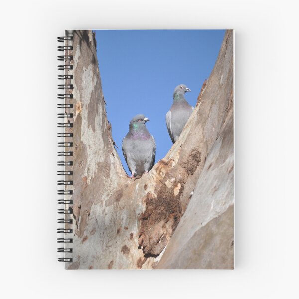 Item preview, Pidgeon Pair designed and sold by Annie Street.
