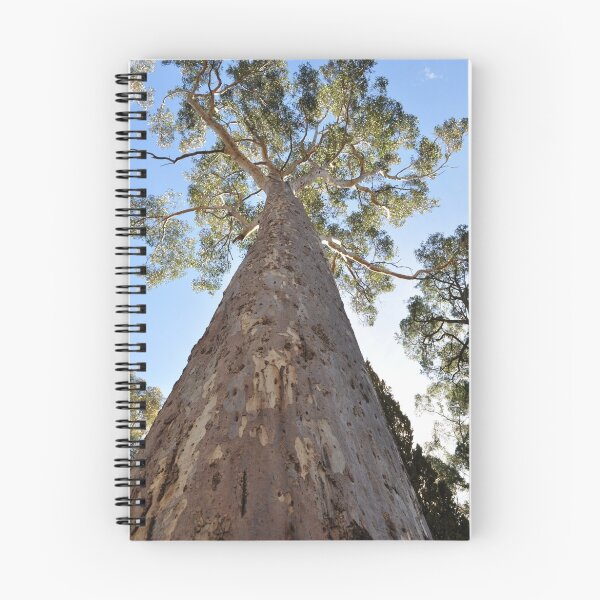 Artikelvorschau, Big Tree entworfen und verkauft von Annie Street.