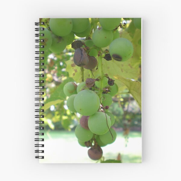 Item preview, Green Grapes designed and sold by Jennifer  Burgess.