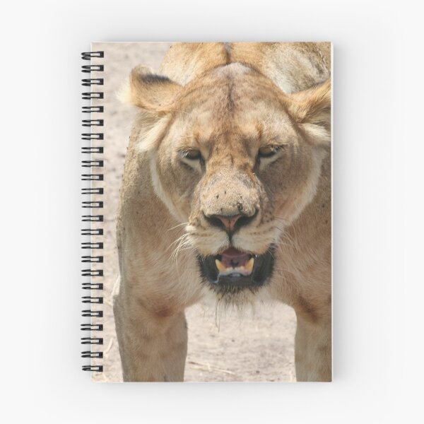 Artikelvorschau, lioness stance entworfen und verkauft von Rebecca Conroy.
