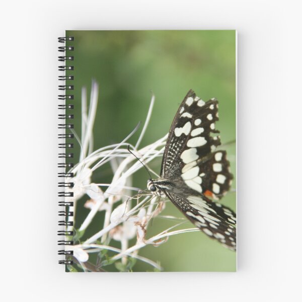 Item preview, Butterfly designed and sold by Jonathon Boyd.