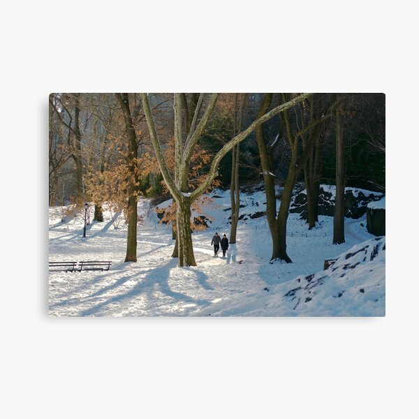 Central Park snow Canvas Print