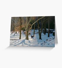 Central Park snow Greeting Card