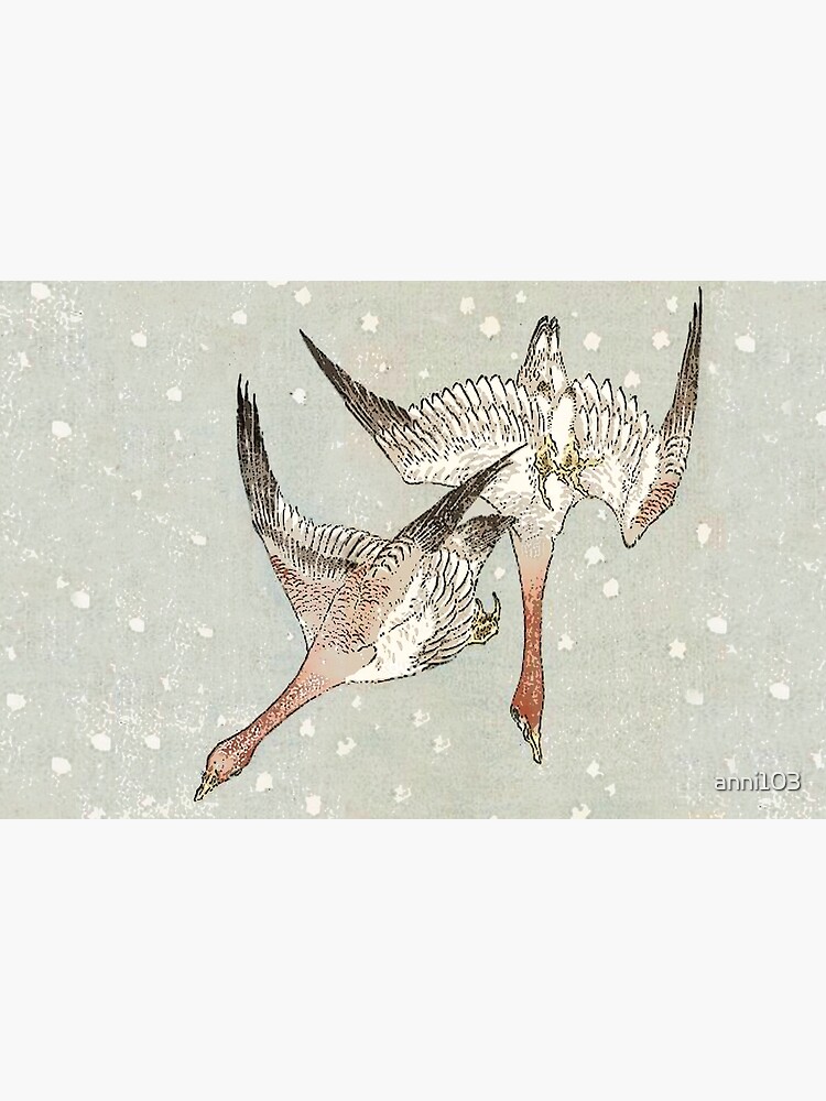 Snow Geese by anni103