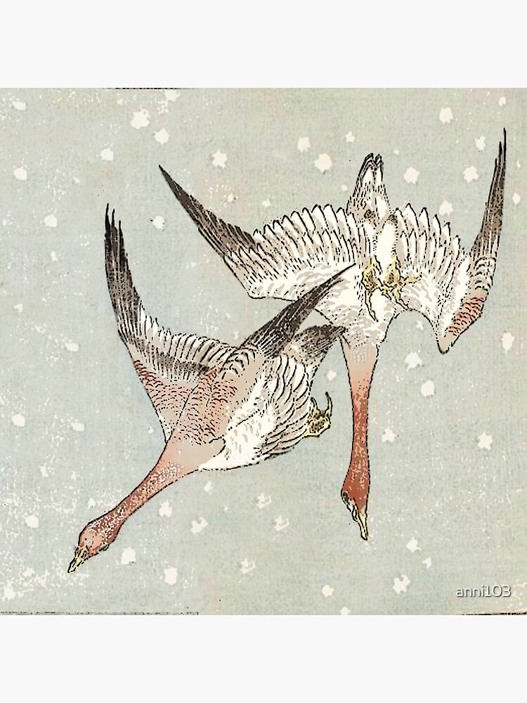 Snow Geese by anni103