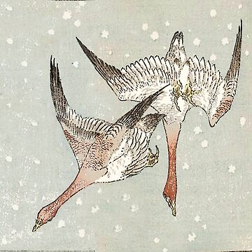 Artwork thumbnail, Snow Geese by anni103