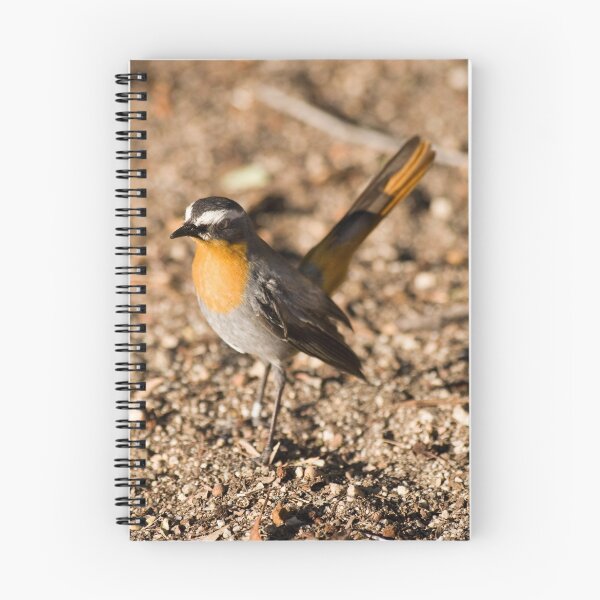Item preview, Robin designed and sold by Skyjuggler.